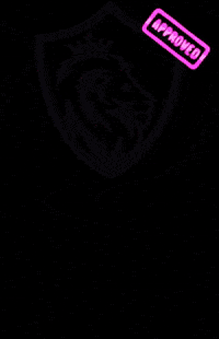 LEONBIKESAG leonbikes leon bikes GIF