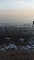 Ice Makes Orchestral Chime Sounds at Lake Huron, Michigan