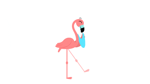 Tambu giphyupload dancing wedding flamingo GIF