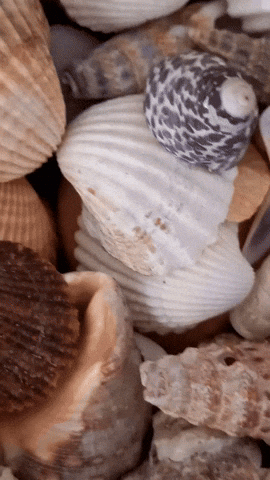 Simongip giphyupload GIF