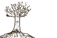 Sun Growing Sticker by BVK Students Hannover