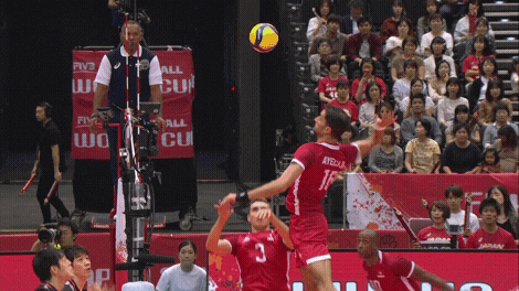 Power Joy GIF by Volleyball World