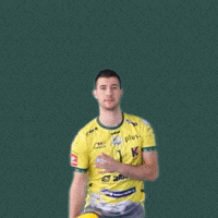 Ball Volleyball GIF by Aluron CMC Warta Zawiercie