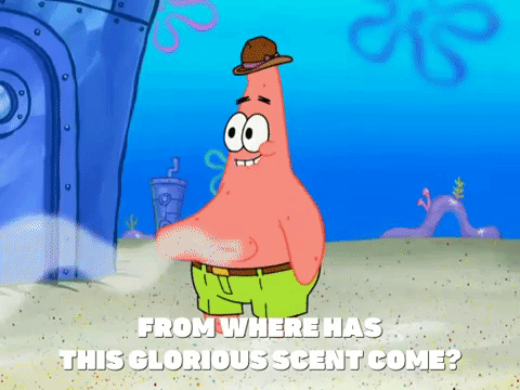 season 8 restraining spongebob GIF by SpongeBob SquarePants