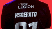London Esports GIF by BLAST