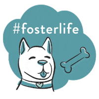 Heartsandbonesrescue foster foster dog fostering hbr Sticker