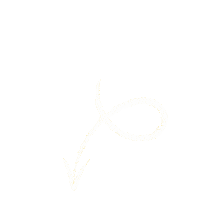 Boermarke Sticker by Vairy 100% Vegan