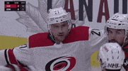 nhl sports hockey nhl ice hockey GIF