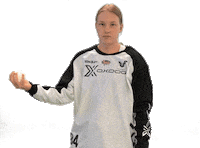 Floorball Salibandy Sticker by F-liiga