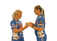 Floorball Salibandy Sticker by F-liiga