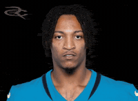 Chicago Bears GIF by Respective