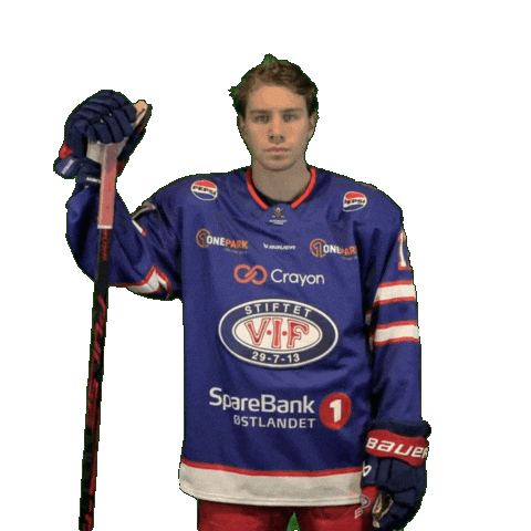 Leo Match Sticker by VIF Hockey