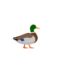 The Cube New Post Sticker by Cube Biotech