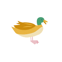 AniCura animals animal bird walking Sticker