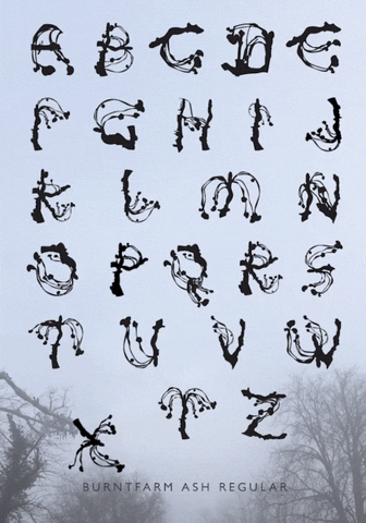 tmbstudios typography typeface experimental type burntfarm ash GIF