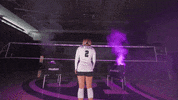 Tommie Volleyball GIF by Tommie Athletics