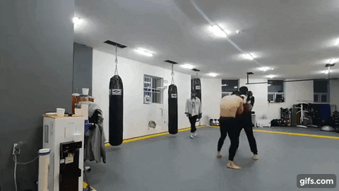 llllllsss giphyupload GIF