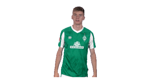 Bundesliga Nick Sticker by SV Werder Bremen