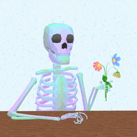 still life flowers GIF by jjjjjohn