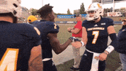Football Hug It Out GIF by Chattanooga Mocs
