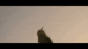 Home And Away Football GIF by James Dupré
