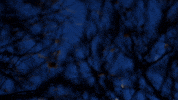 uniondocs collaborative studio GIF