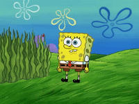 season 6 porous pockets GIF by SpongeBob SquarePants