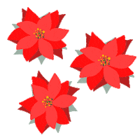 Christmas Flower Flowers Sticker