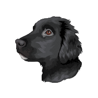 Hastingspp Sticker by Pickle's Pawtraits