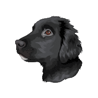 Hastingspp Sticker by Pickle's Pawtraits