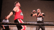 SHWAWrestling punch jab cutter perth pro wrestling GIF