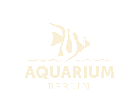 Logo Sticker Sticker by Zoo Berlin