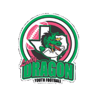 Dyf Sticker by Dragon Youth Football