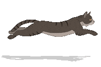 Cat Kat Sticker by Kattenveertjes