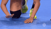 celebration hands GIF by EHF