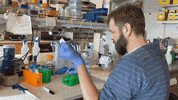 Stem Genetics GIF by MacArthur Foundation
