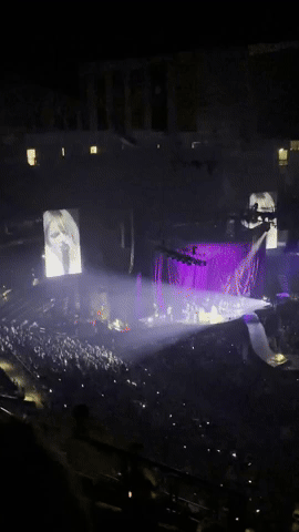 arresttt giphycreatortest ds rizz 3ds GIF