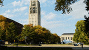 GIF by Michigan Athletics