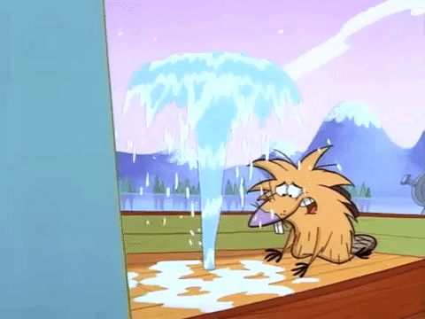 nickrewind giphydvr nicksplat angry beavers giphyab006 GIF
