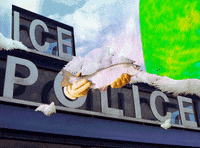 fish ice GIF by The NGB