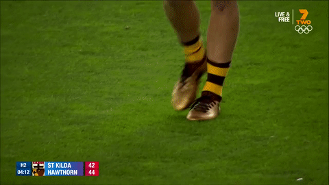 GIF by AFL