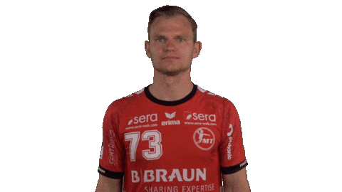 Handball-Bundesliga Handball Sticker by LIQUI MOLY HBL