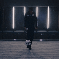 Loucityfc GIF by Louisville City FC