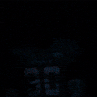 Flexing Miami Football GIF by Miami Dolphins