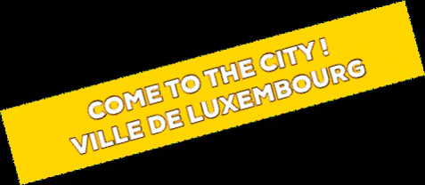 Ville_de_Luxembourg giphygifmaker vdl multiplicity villedeluxembourg GIF