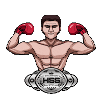 Boxing Holywings Sticker by HW Group