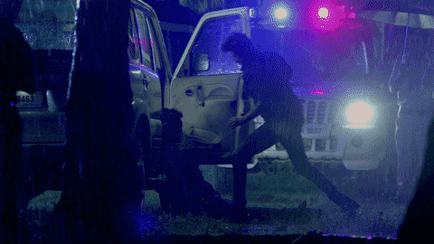 GIF by Luv Films