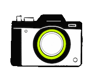 Photography Photo Sticker by Contiki