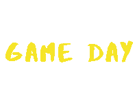 Handball Gameday Sticker by VIVE KIELCE