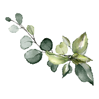 SpiritusNaturae bebe feuille carte étape spiritusnaturae Sticker